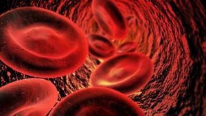 Blut ist Leben