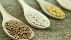 HÃ¼lsenfrÃ¼cjte, Fotoquelle: CanStock