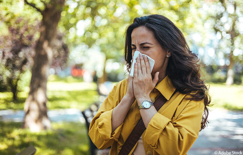 Allergie – Vermeidung, Linderung, Behandlung