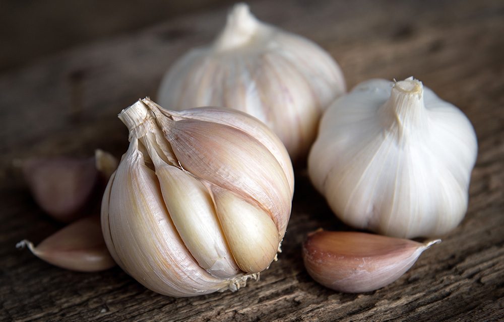 Knoblauch – wertvoll für Herz und Kreislauf