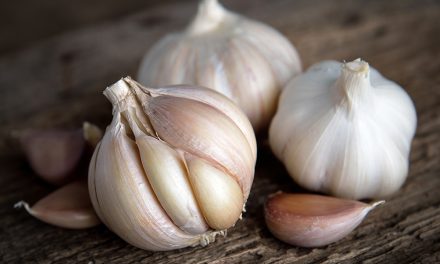 Knoblauch – wertvoll für Herz und Kreislauf