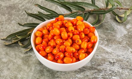 Sanddorn – starke Beeren für die Abwehrkräfte