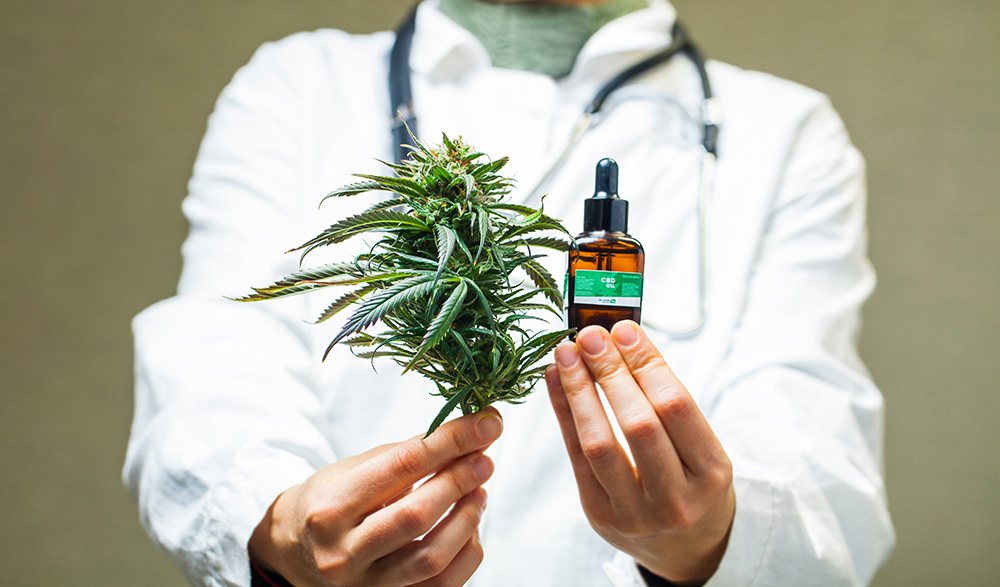 Cannabis zu therapeutischen Zwecken – Einsatz bei Schmerzen und Beschwerden