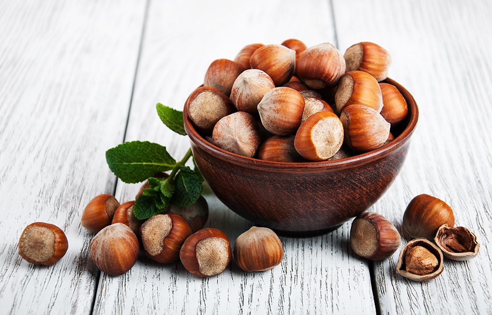Haselnüsse gesund: Diese Nährstoffe stecken in der Nuss