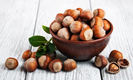 Haselnüsse gesund: Diese Nährstoffe stecken in der Nuss