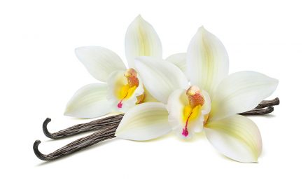 Vanille oder Vanillin: Was ist eigentlich der Unterschied?