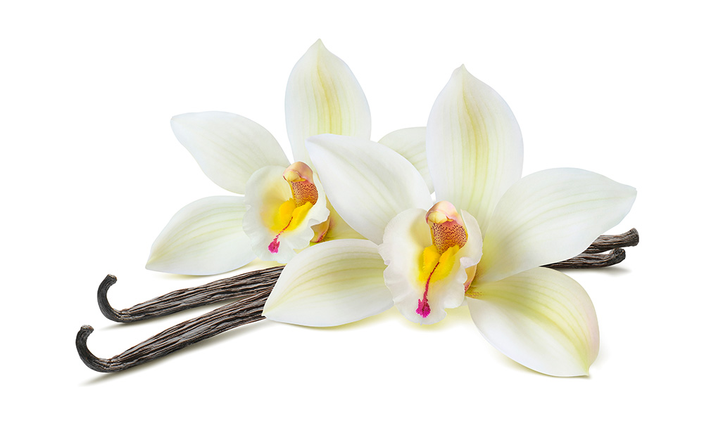 Vanille oder Vanillin: Was ist eigentlich der Unterschied?