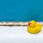 Schimmel: Lebensmittel wegwerfen oder noch essen?