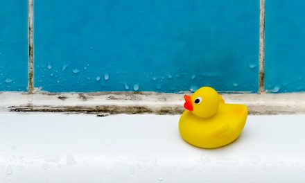 Schimmel: Lebensmittel wegwerfen oder noch essen?