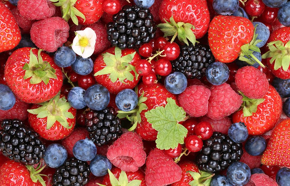 Beeren – bärenstark für die Gesundheit