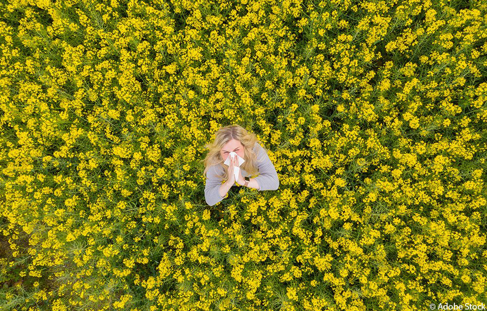 Allergien – Ursachen, Symptome und Behandlungsmöglichkeiten