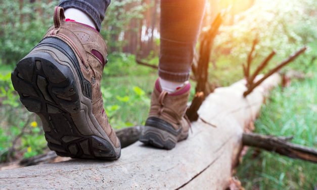 Über Stock und Stein:WUNDERMITTEL WANDERN