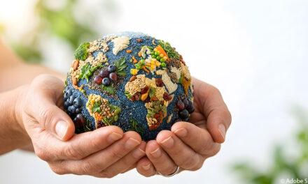 Gesunde Ernährung und Klimaschutz: Neue Broschüre gibt praktische Tipps