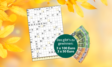 Bargeld – Gewinnspiel 3 × 100 Euro und 3 × 50 Euro zu gewinnen