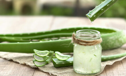 Aloe Vera – natürliche Pflege für die Haut